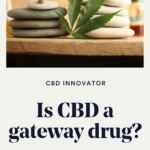 Is CBD a gateway drug?